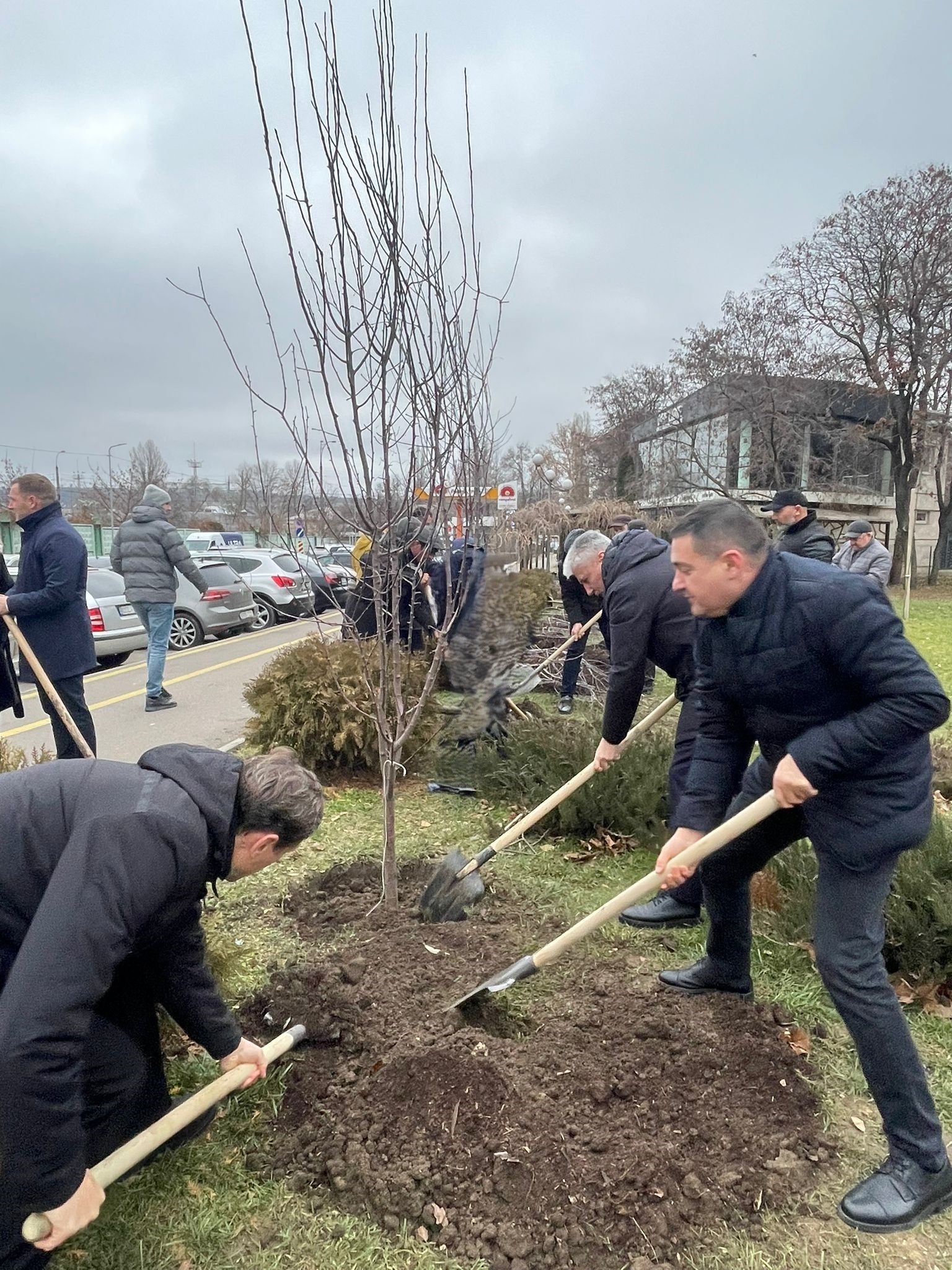 В Кишинэу заложена Аллея азербайджано-молдавской дружбы "Xaрыбюльбюль" 